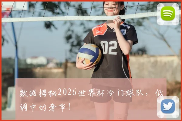 数据揭秘2026世界杯冷门球队,低调中的奢华!