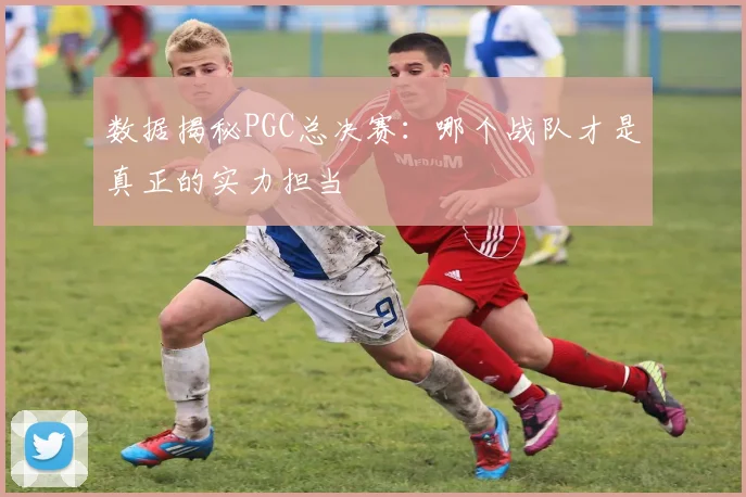 数据揭秘PGC总决赛:哪个战队才是真正的实力担当